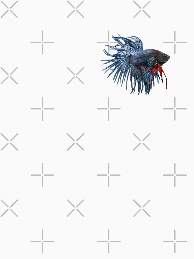 Betta: Crowntail 2 by Karl The Fish Guy