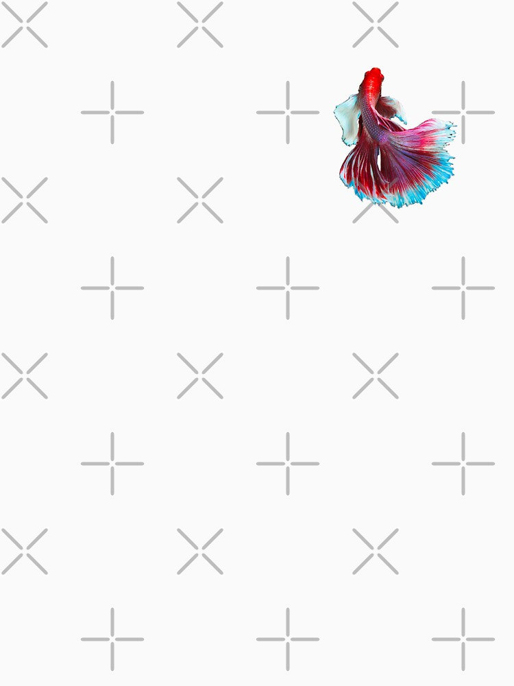 Betta: Halfmoon-tail, Multicolour by Karl The Fish Guy