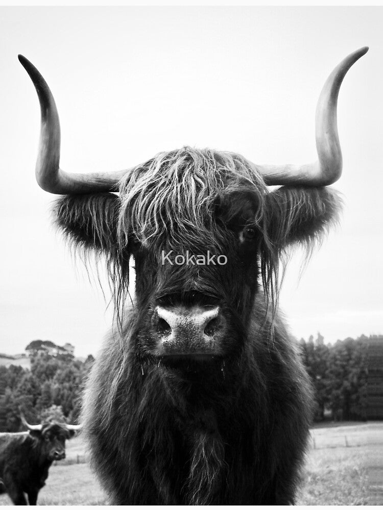 Highland by Kokako