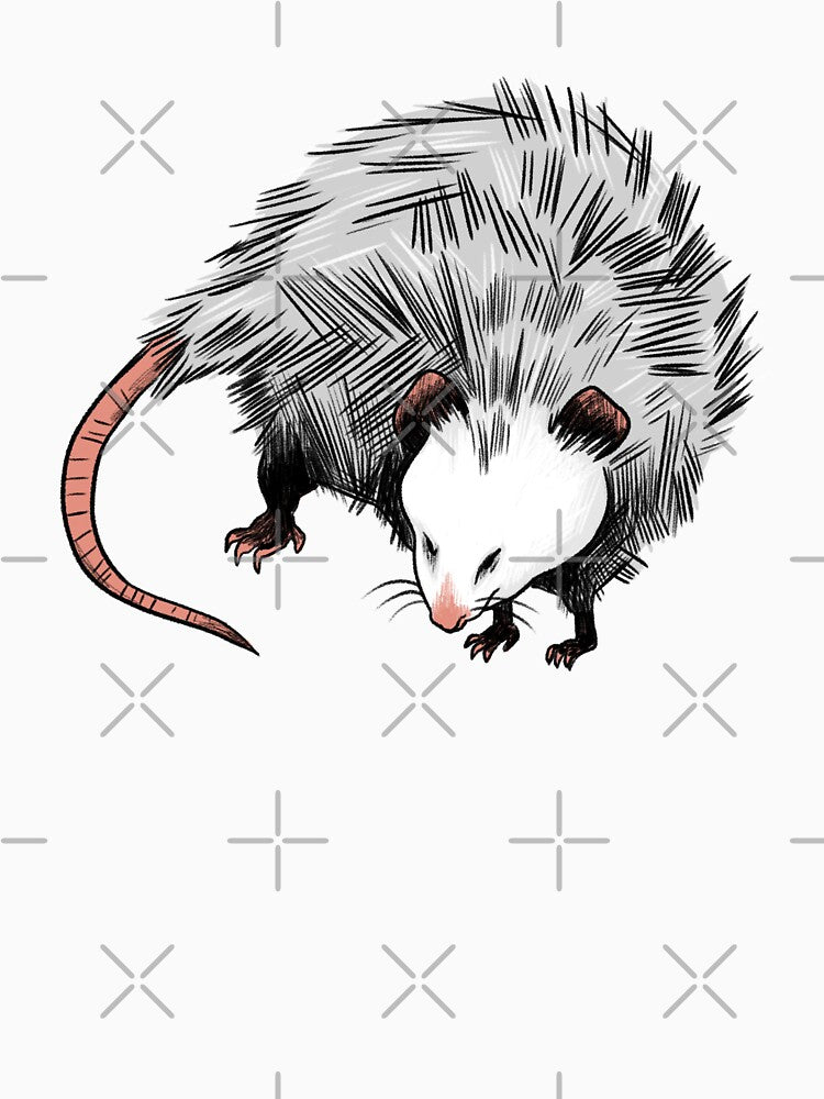 Possum Friend! by heymunstrr