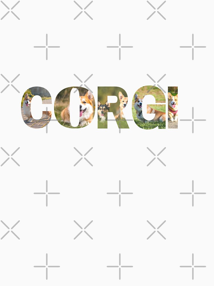 Corgi by dome5150