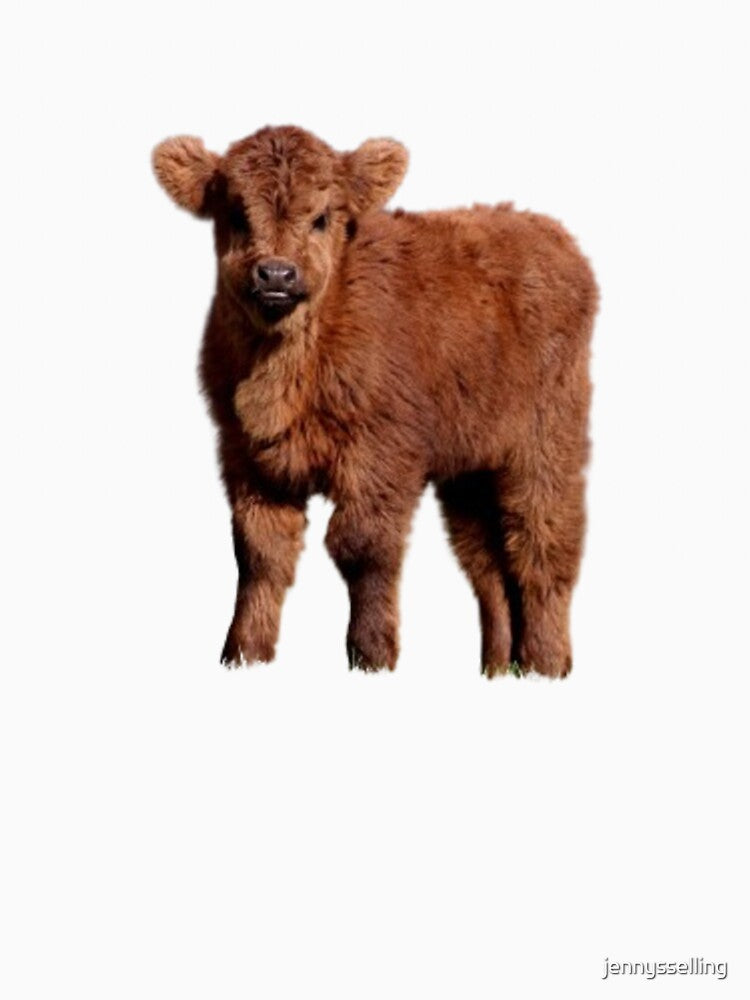 Baby Highland Cow by jennysselling