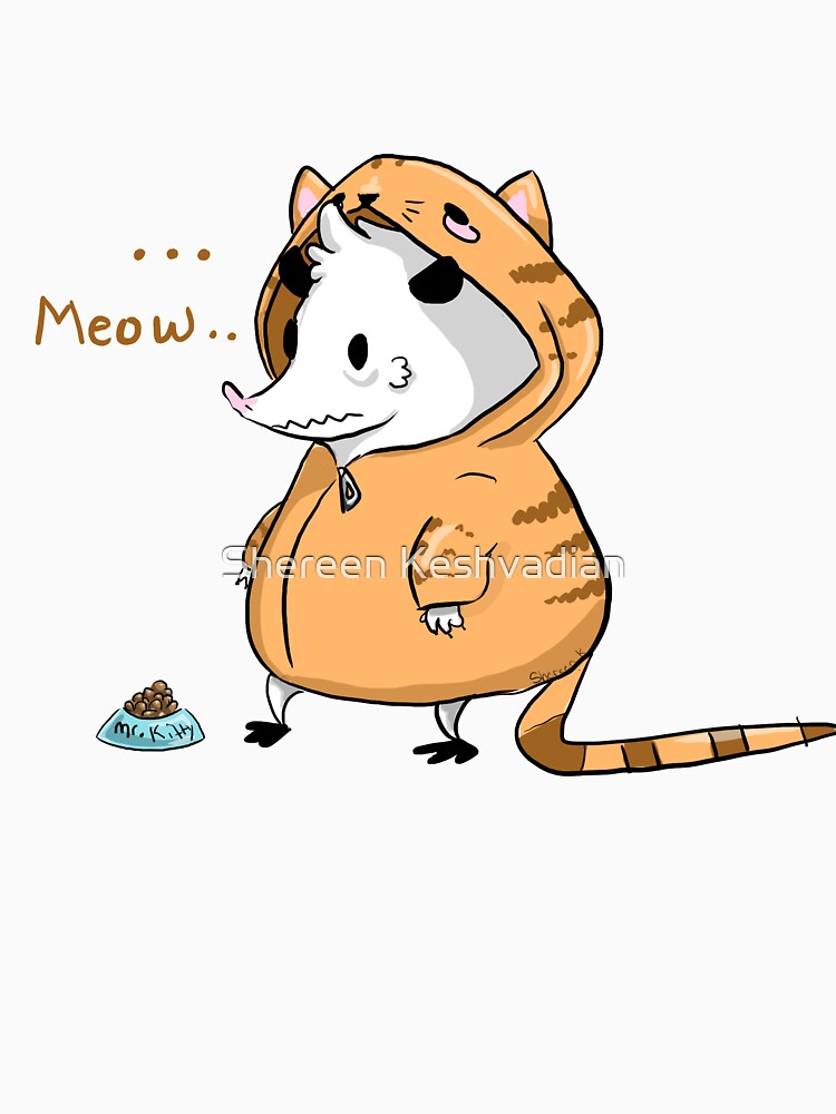 The Orange "Cat" by Shereen Keshvadian