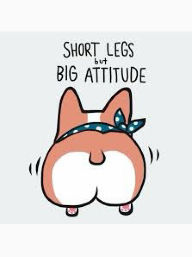 Big attitude by RainbowChild80