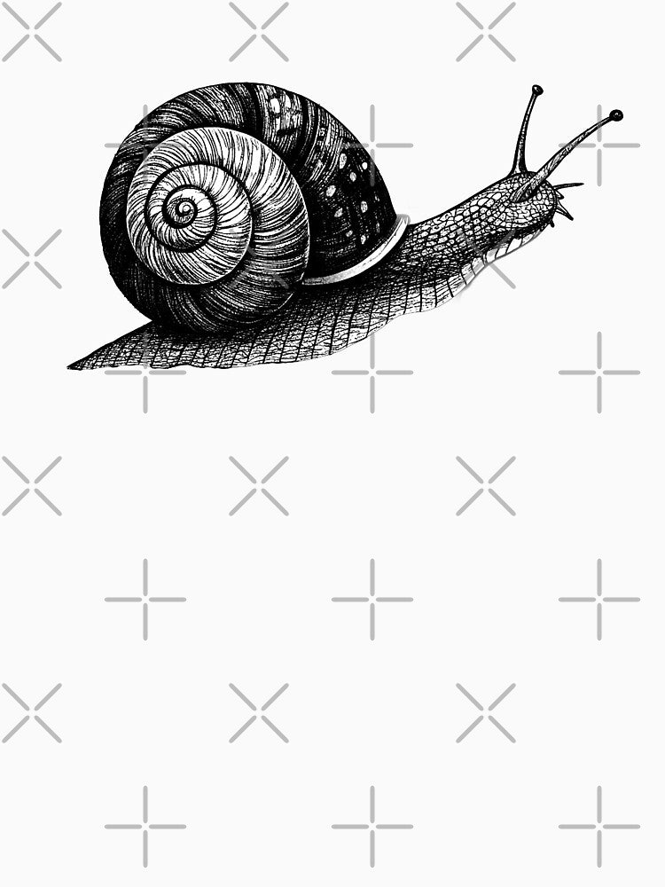 Snail Elegance - Detailed Engraving Art - Garden Snail Blackwork - Nature's Slow Beauty by Printspiration, Explore Unique Art & Designs