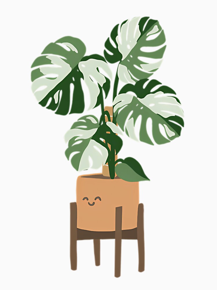 Monstera Albo Potted Plant by yjgiivkkihp20