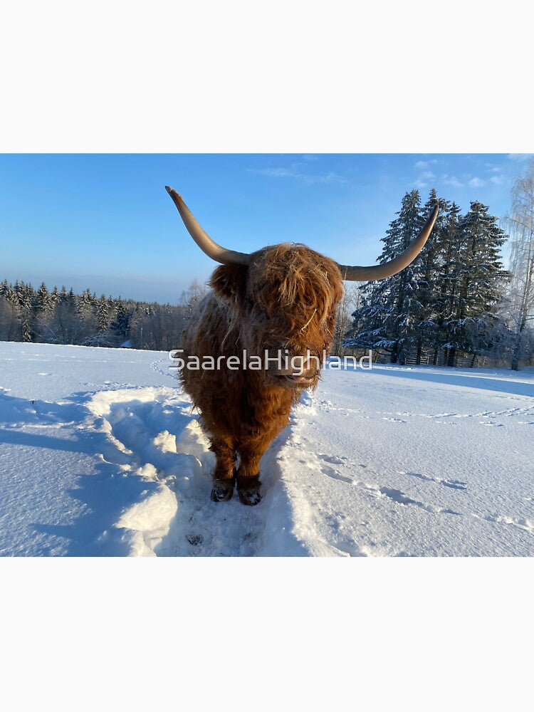Scottish Highland Cattle Cow 3199 by SaarelaHighland