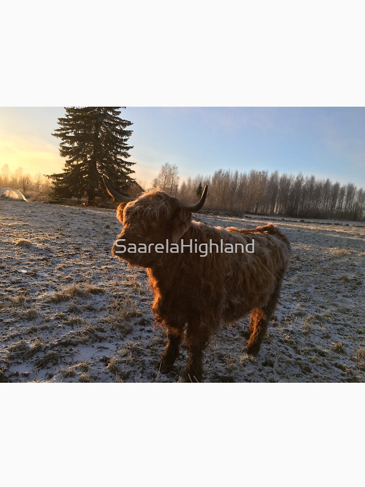 Scottish Highland Cattle Cow 1012 by SaarelaHighland