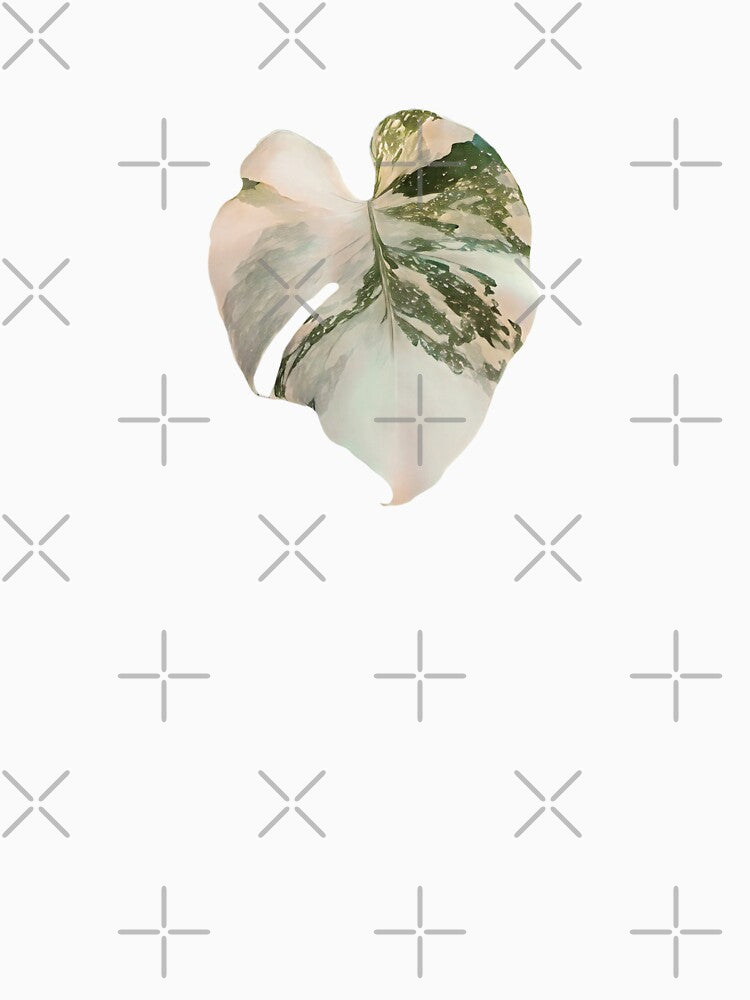 Monstera Thai Constellation by chloeifulgham