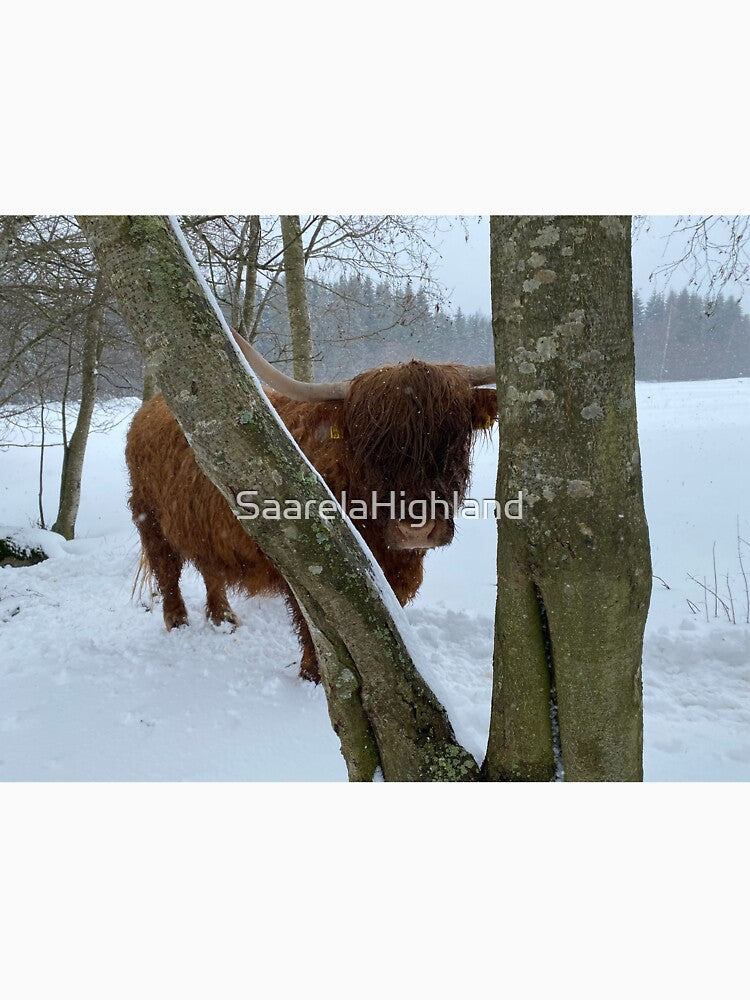 Scottish Highland Cattle Cow 3283 by SaarelaHighland
