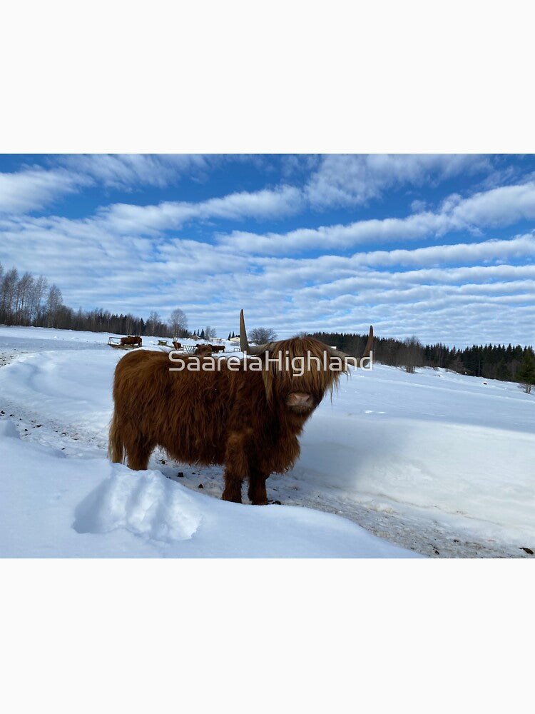 Scottish Highland Cattle Cow 3247 by SaarelaHighland