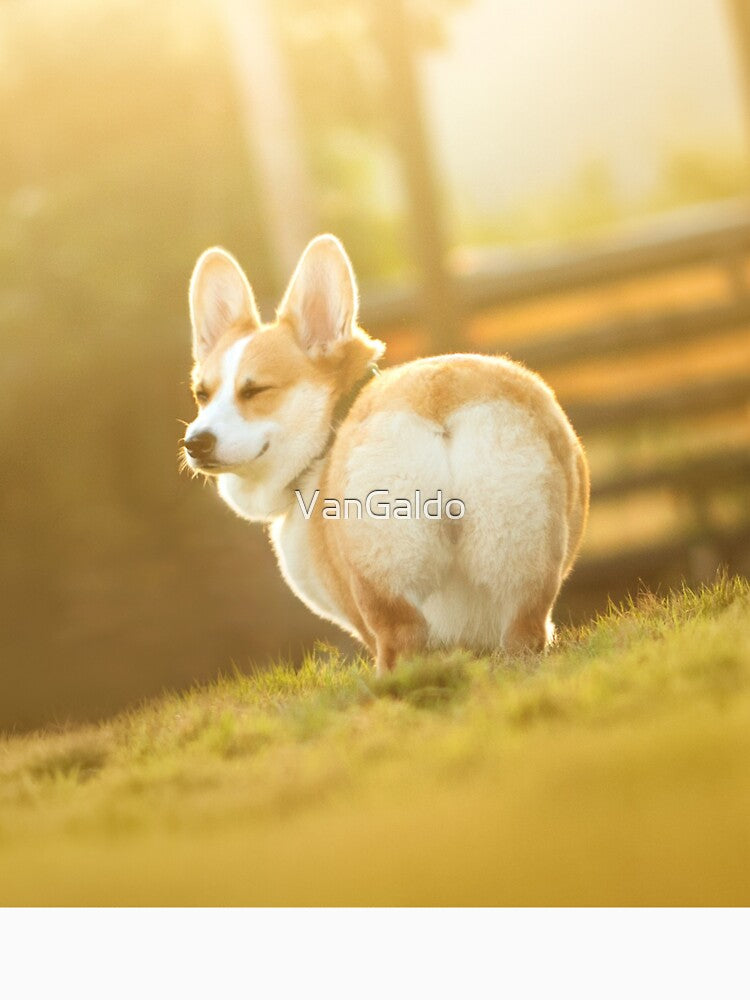 Cute Butt Pembroke Welsh Corgi Dog by VanGaldo