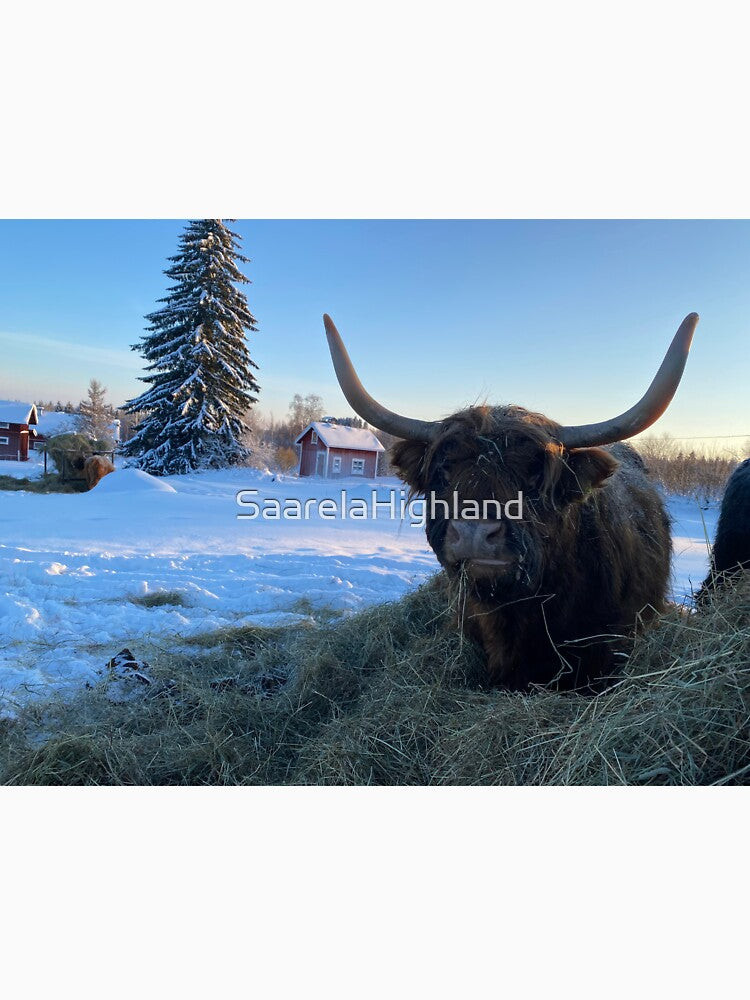 Scottish Highland Cattle Cow 3153 by SaarelaHighland