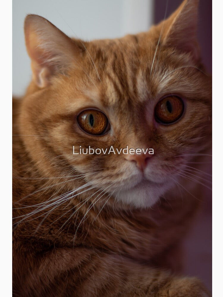 Ginger by LiubovAvdeeva