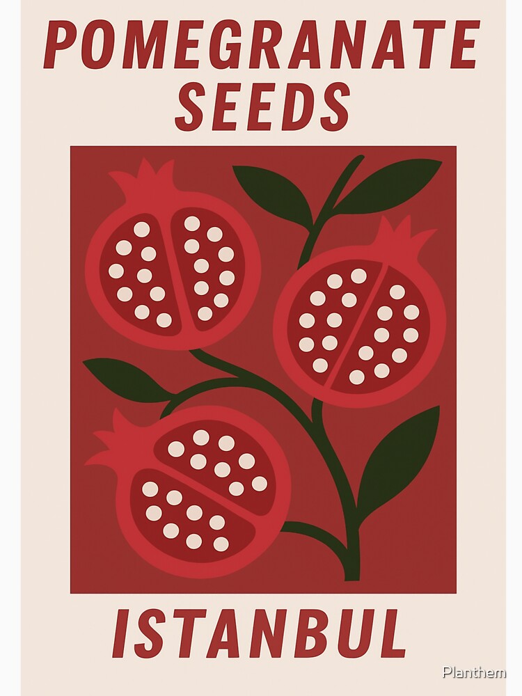 Pomegranate Seeds – Bold Fruit Art Inspired by Istanbul by Planthem