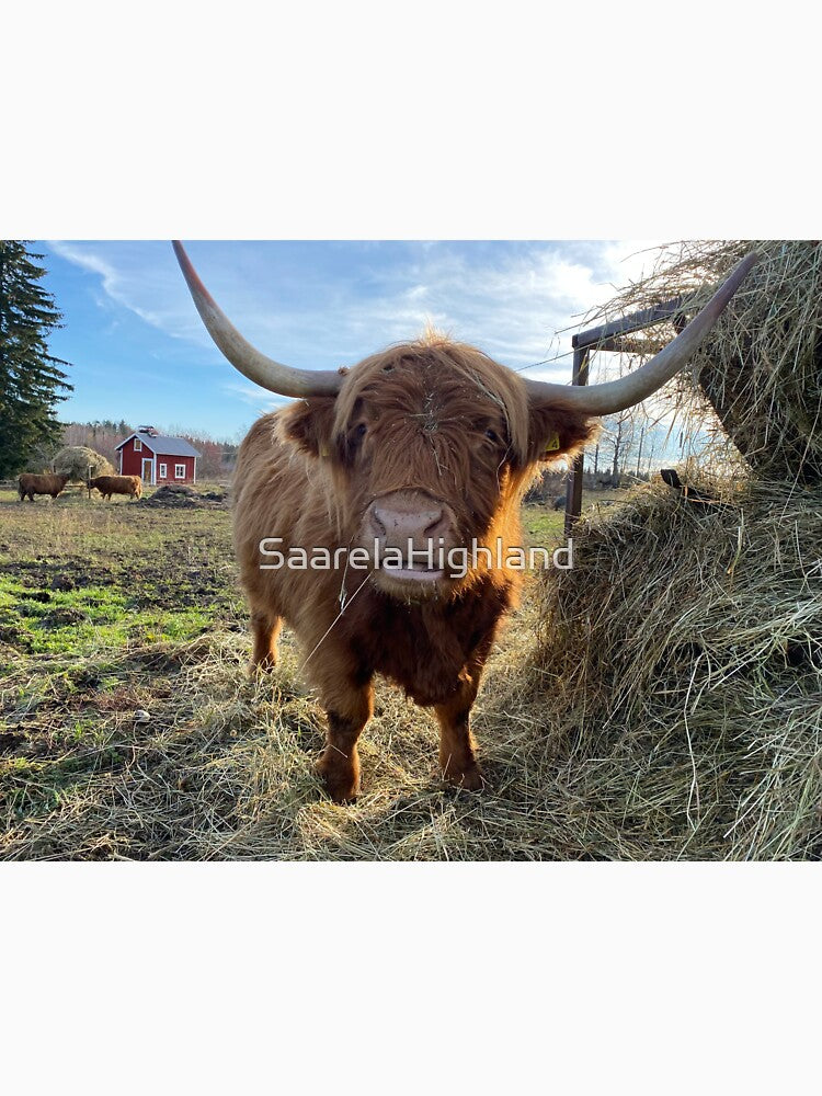 Scottish Highland Cattle Cow 3043 by SaarelaHighland