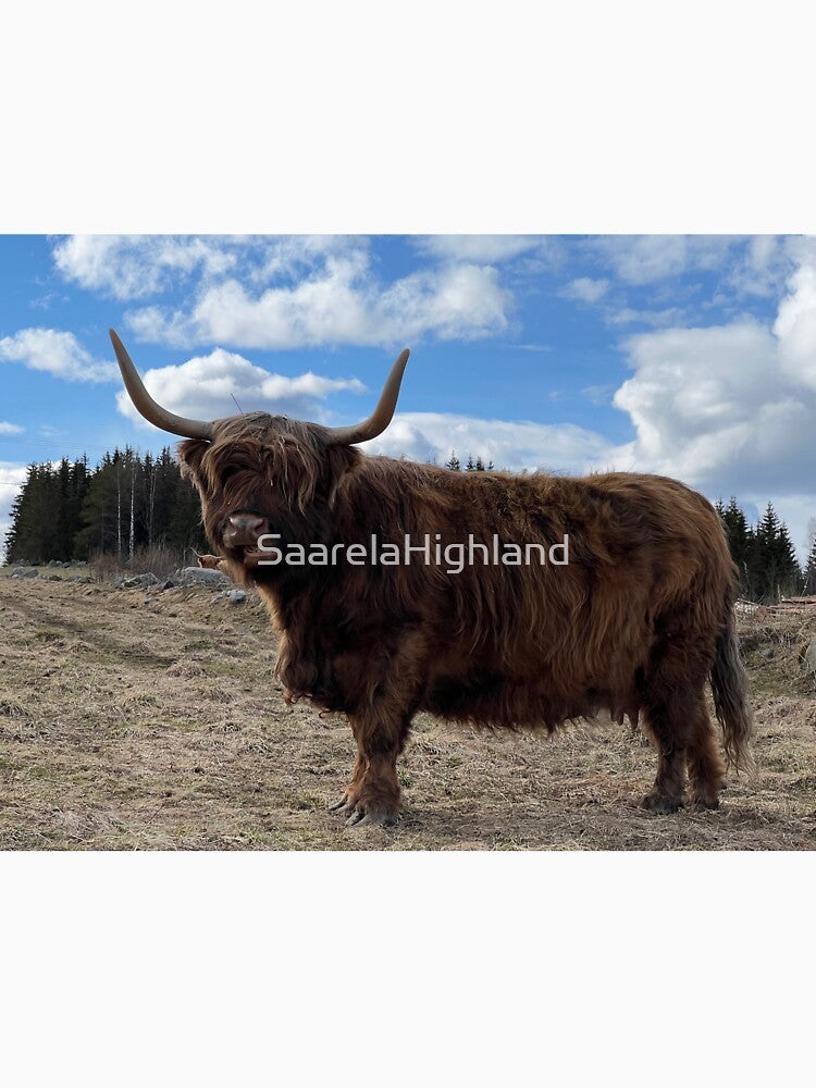 Scottish Highland Cattle Cow 3325 by SaarelaHighland