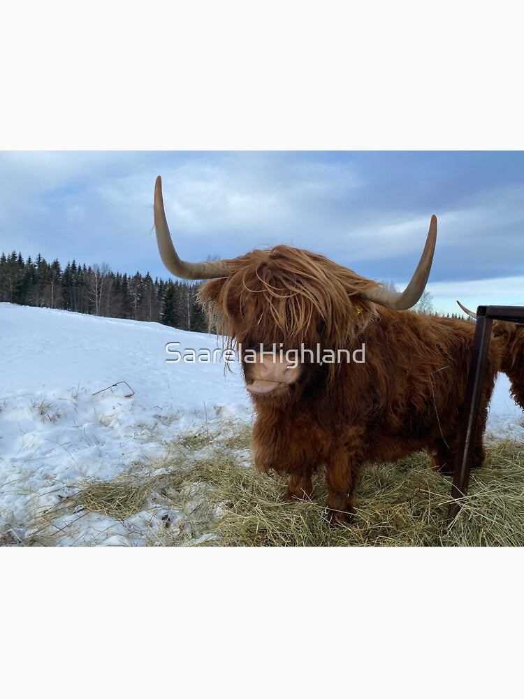 Scottish Highland Cattle Cow 3208 by SaarelaHighland