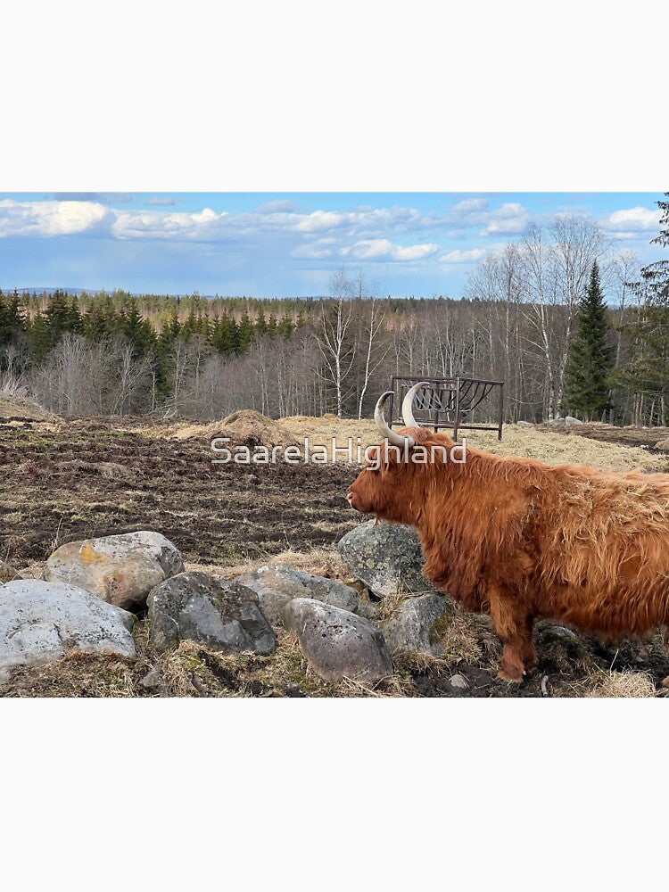 Scottish Highland Cattle Cow 3324 by SaarelaHighland