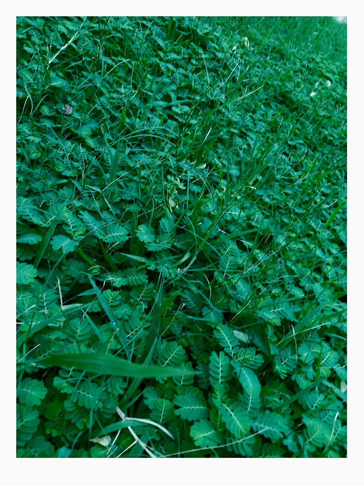 Green by ViNCreations