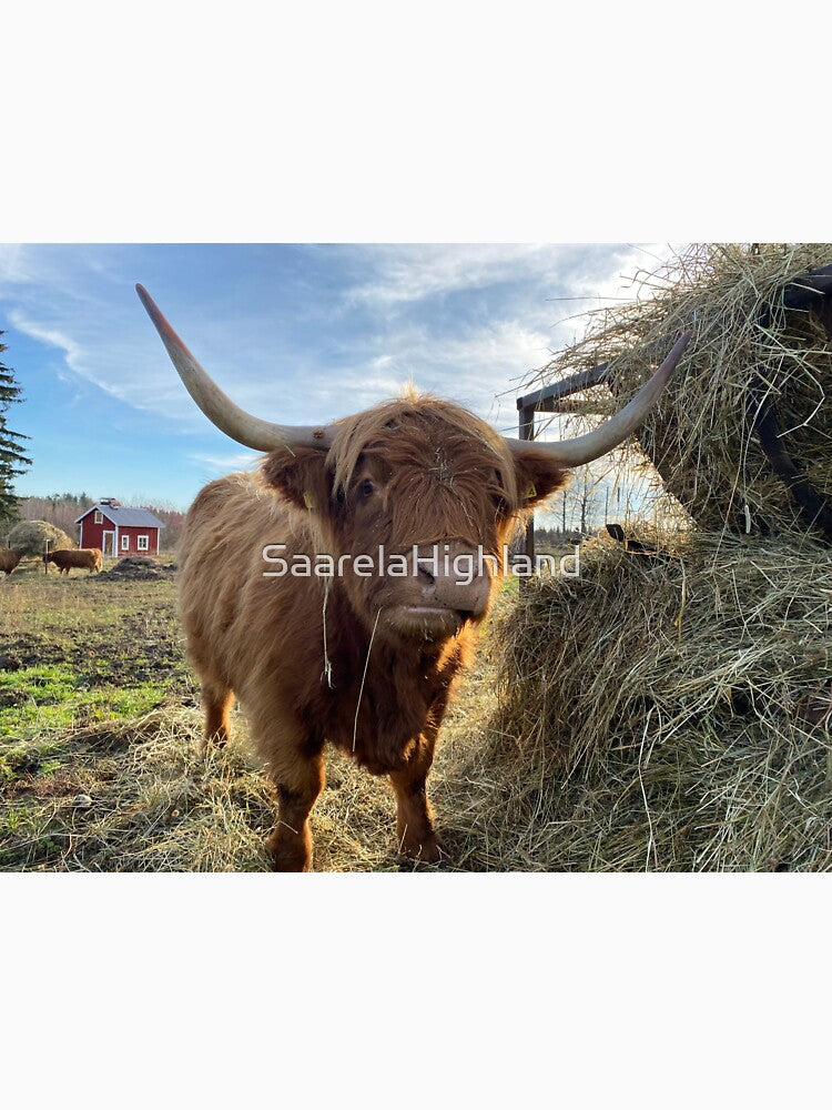 Scottish Highland Cattle Cow 3044 by SaarelaHighland