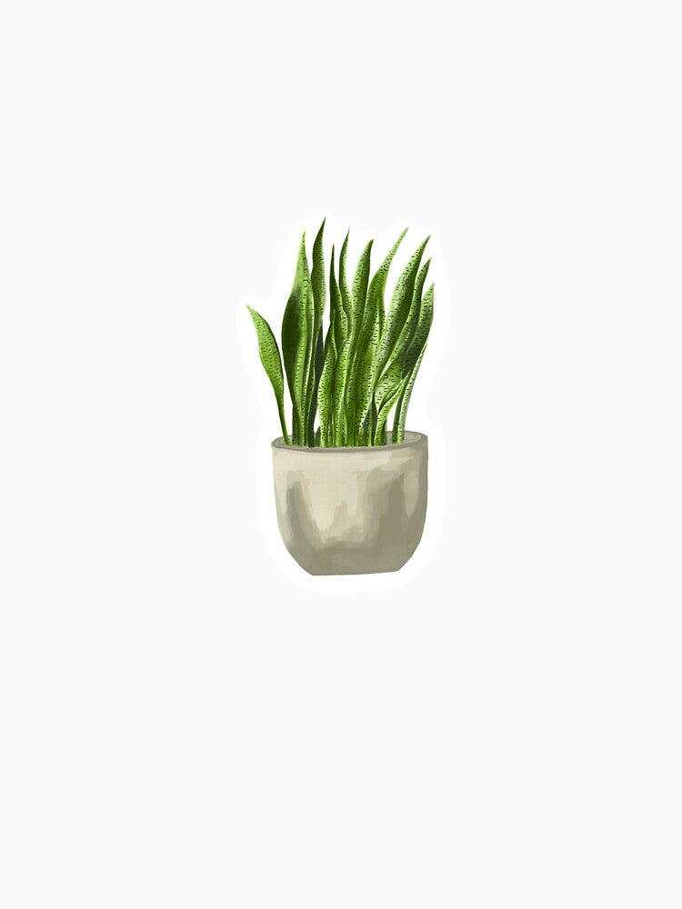 Sansevieria by WoohooArt7