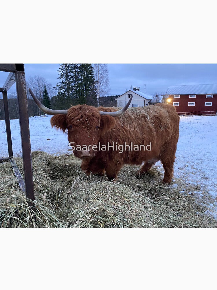 Scottish Highland Cattle Cow 3089 by SaarelaHighland