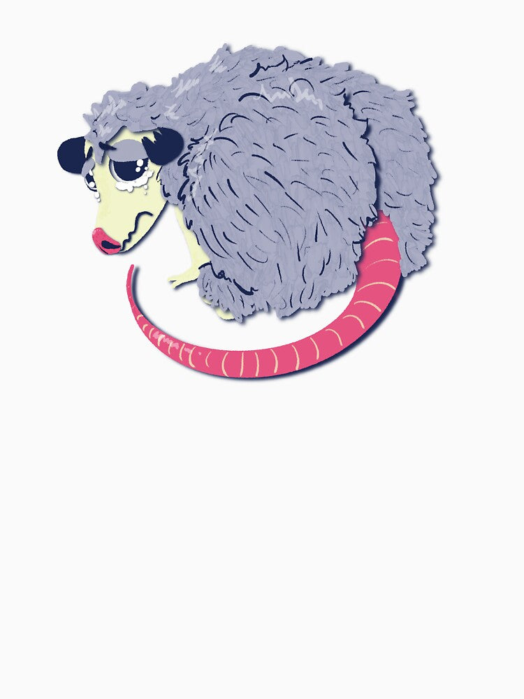 Poor Opossum by akormanik
