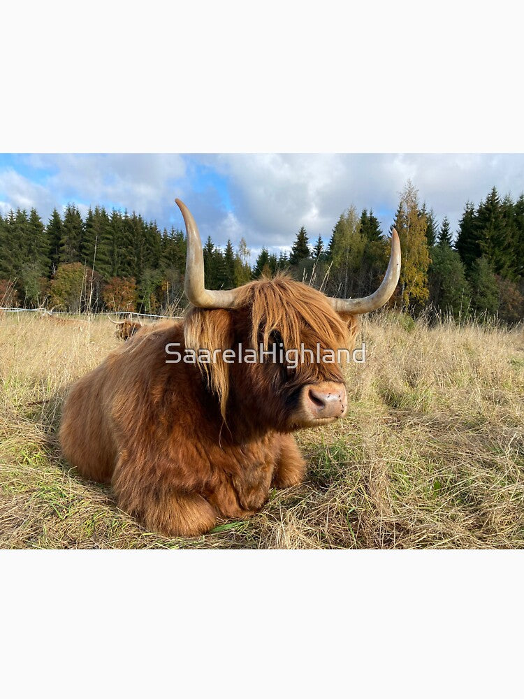 Scottish Highland Cattle Cow 3003 by SaarelaHighland