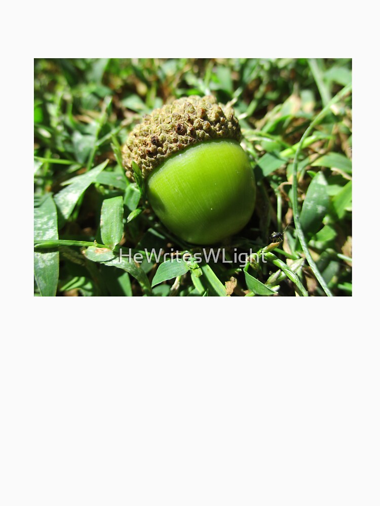 Nestled Green Acorn by HeWritesWLight