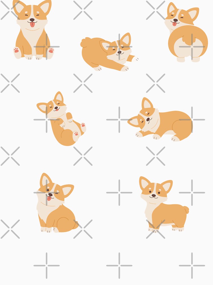 Yellow dog, Corgi dog pack by Mateusz Majcherek
