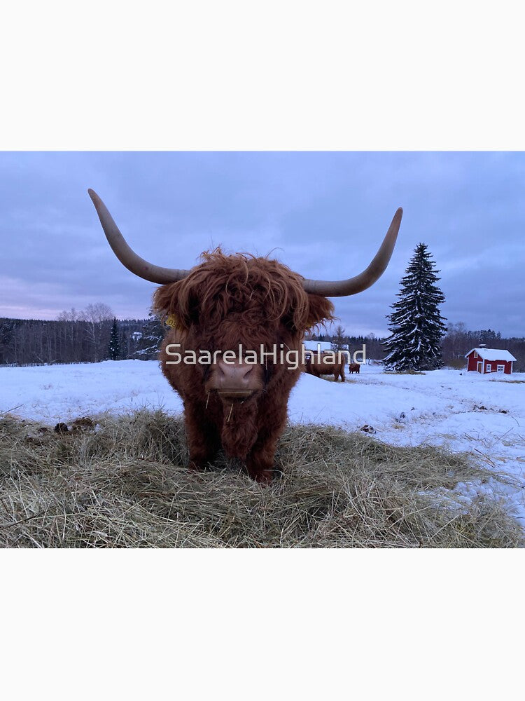 Scottish Highland Cattle Cow 3209 by SaarelaHighland