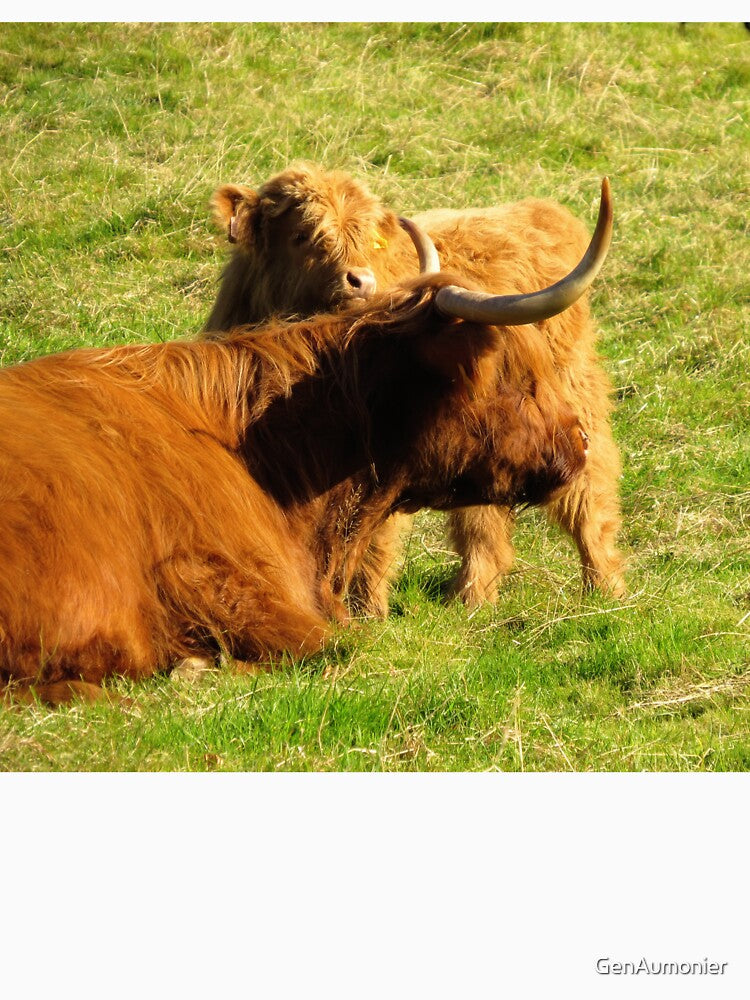 Highland Coo and Calf II - Photograph by GenAumonier