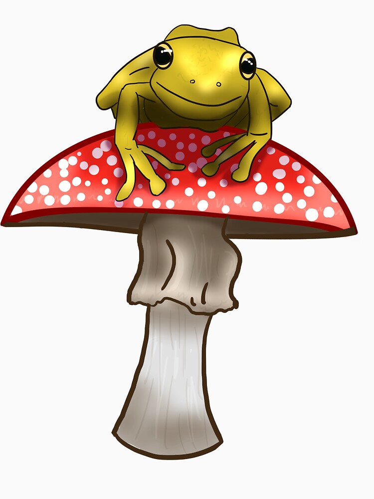 Frog On A Red Mushroom by You-Are-Valid