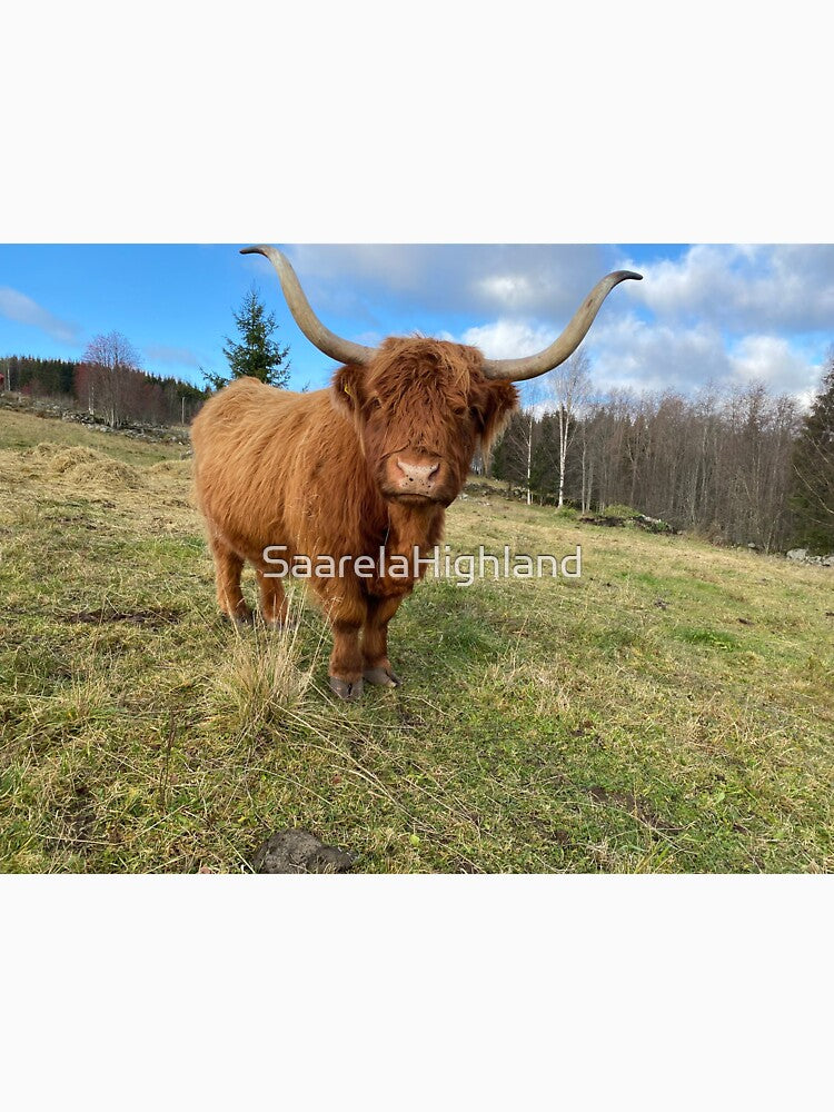 Scottish Highland Cattle Cow 3032 by SaarelaHighland