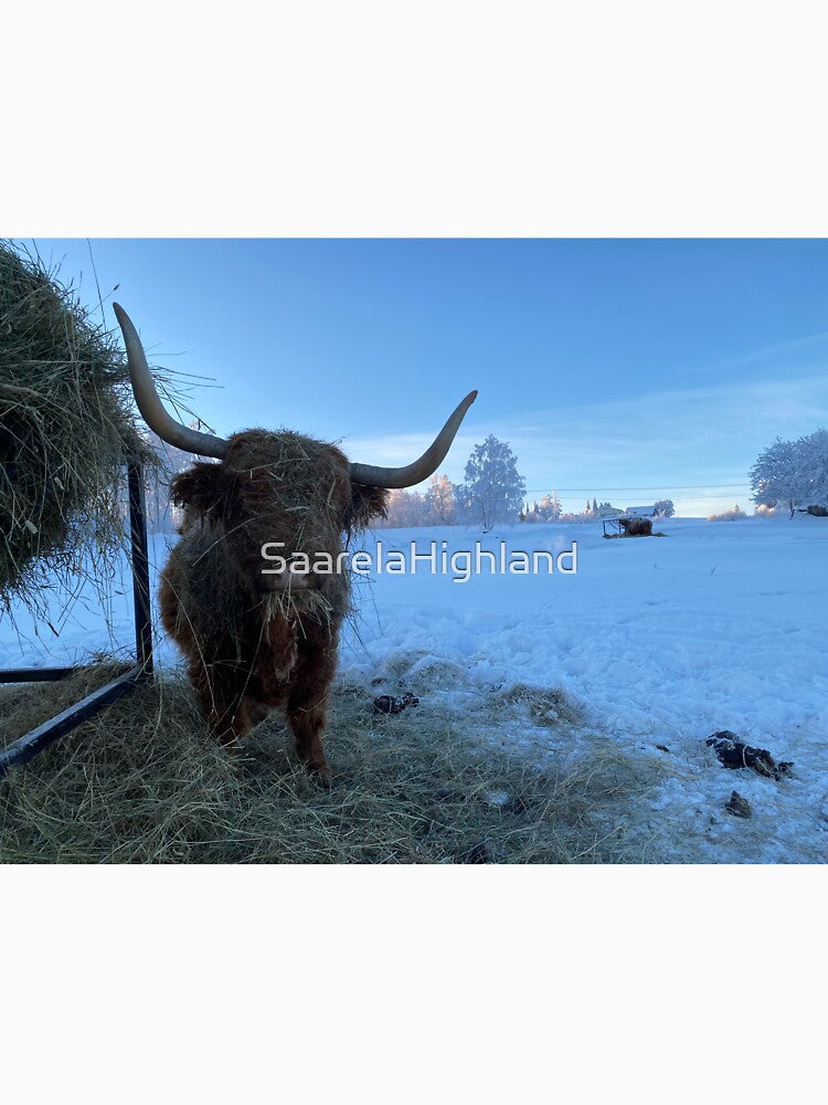 Scottish Highland Cattle Cow 3170 by SaarelaHighland