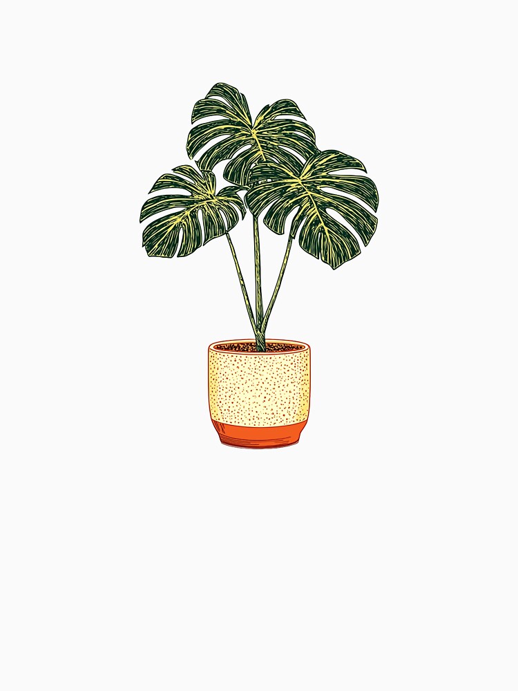 Monstera Plant – Tropical Houseplant Illustration by CleanLineStudio