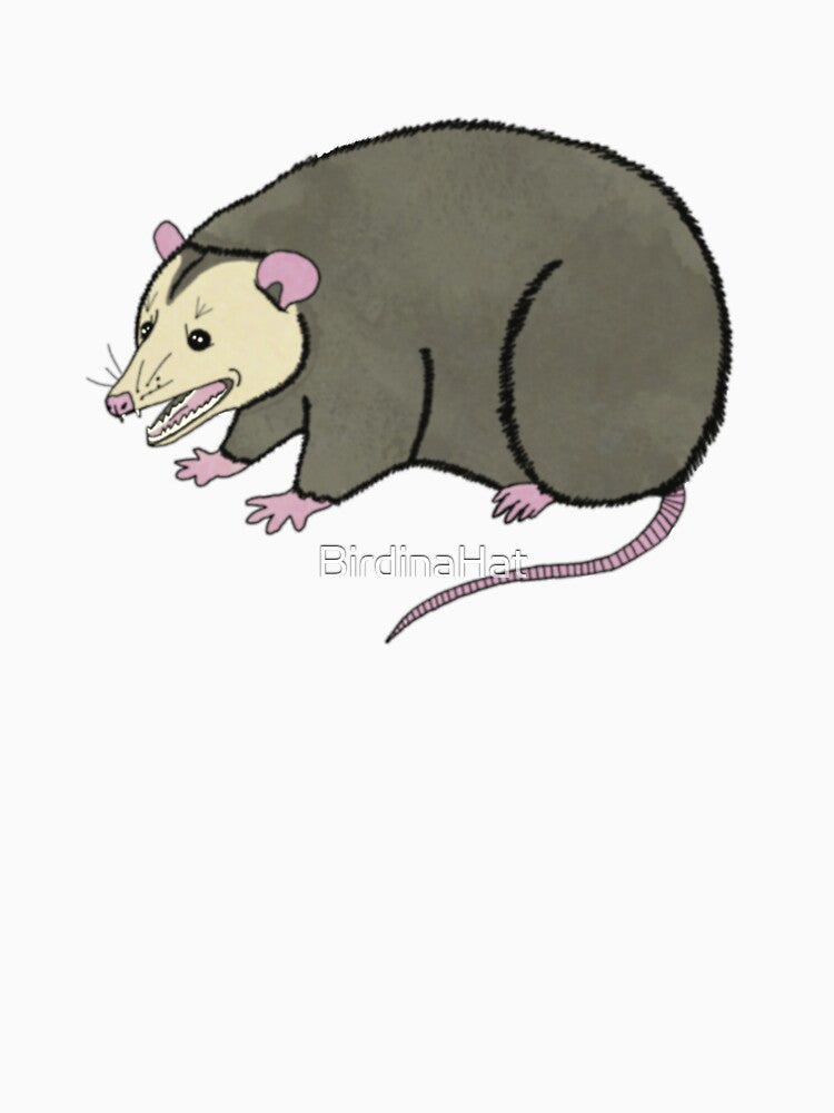 Only Opossums by BirdinaHat