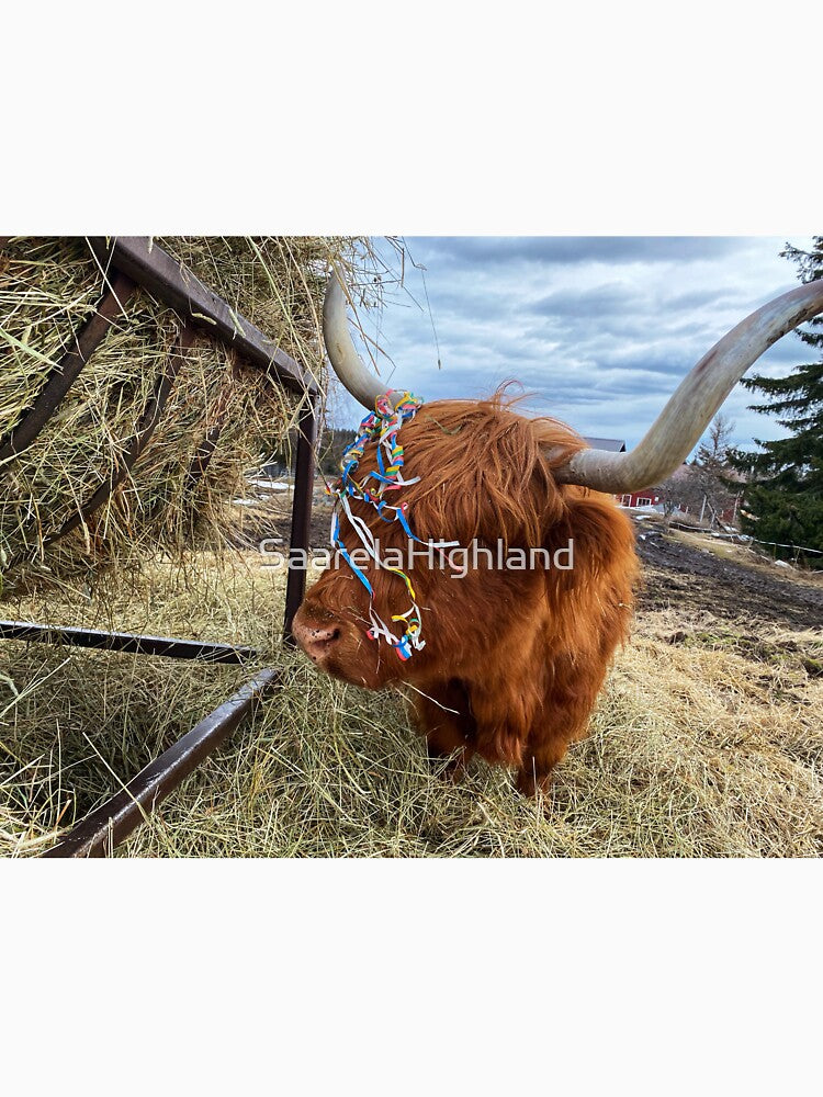 Scottish Highland Cattle Cow 3318 by SaarelaHighland