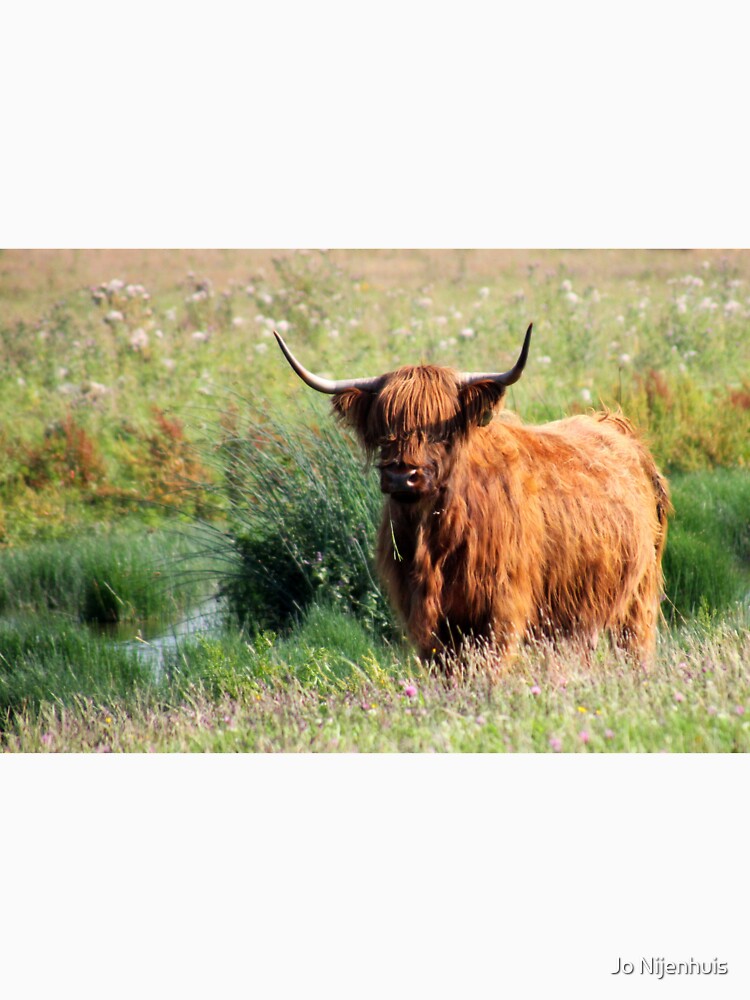 Fluffy Cow by Jo Nijenhuis