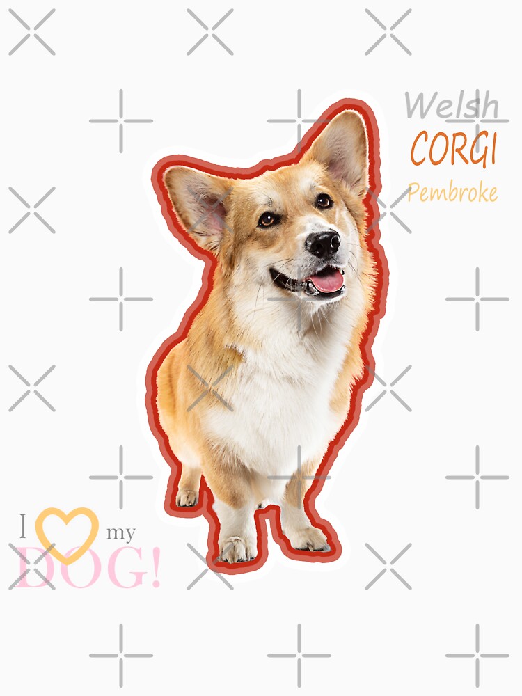 So cute welsh corgi by Ali K. Alobaidi
