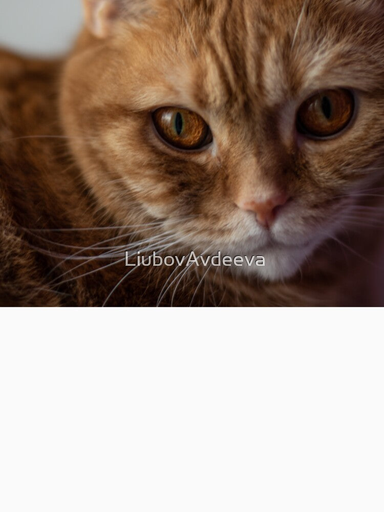 Mr. Whiskers by LiubovAvdeeva
