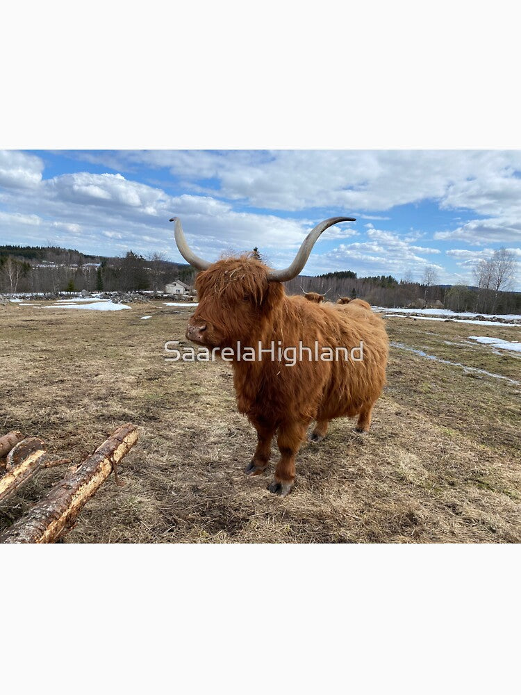 Scottish Highland Cattle Cow 3313 by SaarelaHighland