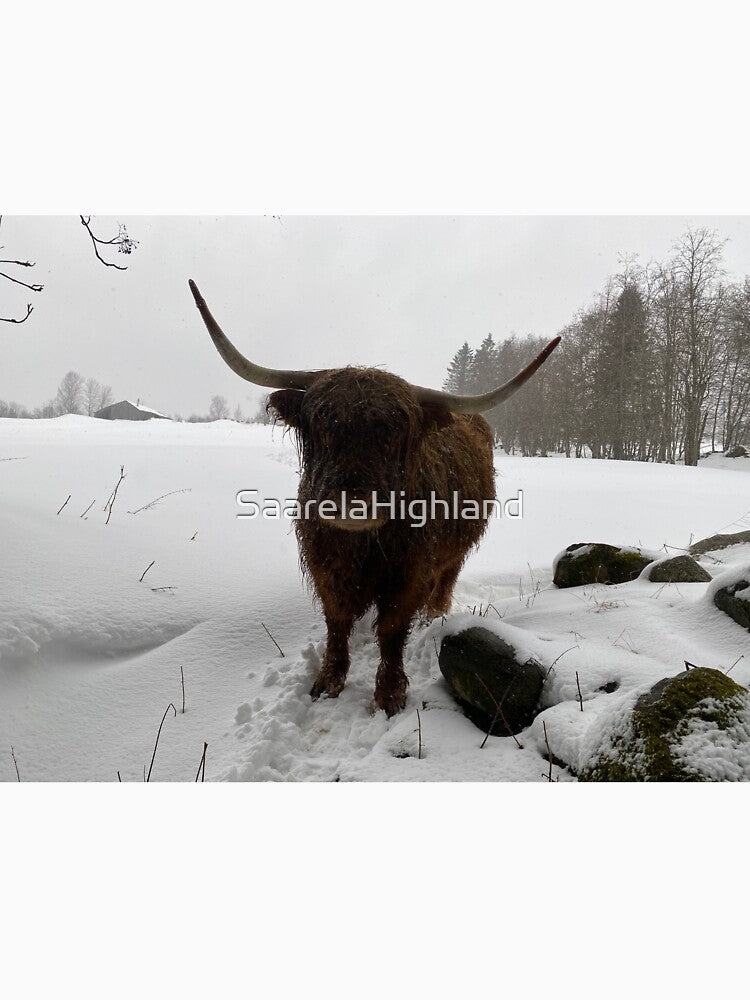 Scottish Highland Cattle Cow 3281 by SaarelaHighland