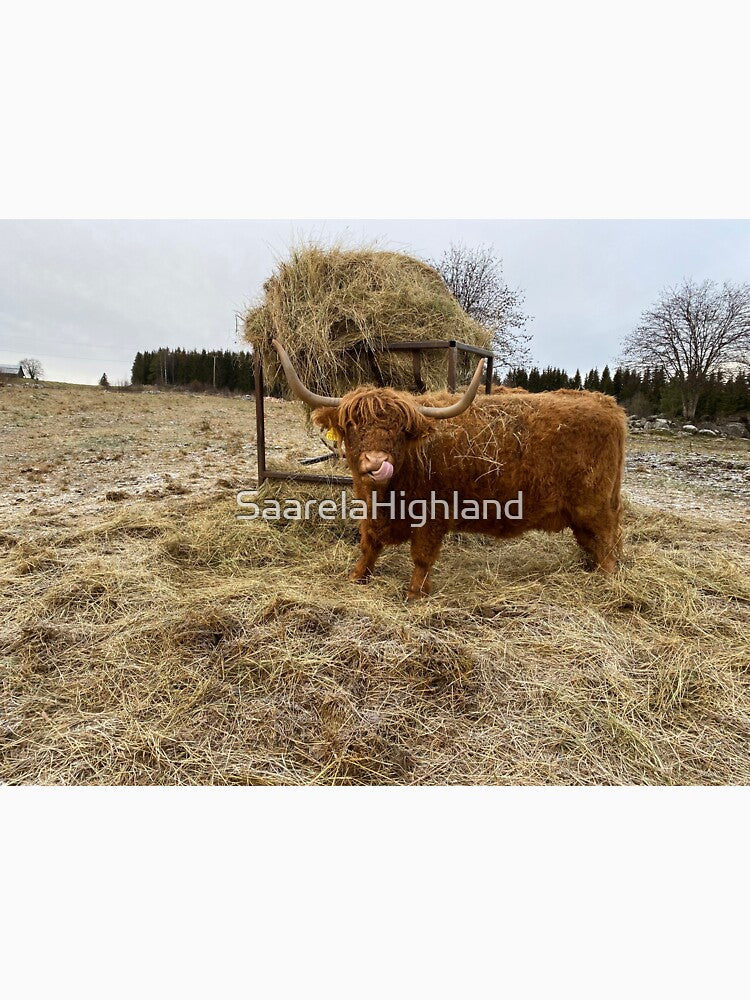 Scottish Highland Cattle Cow 3074 by SaarelaHighland