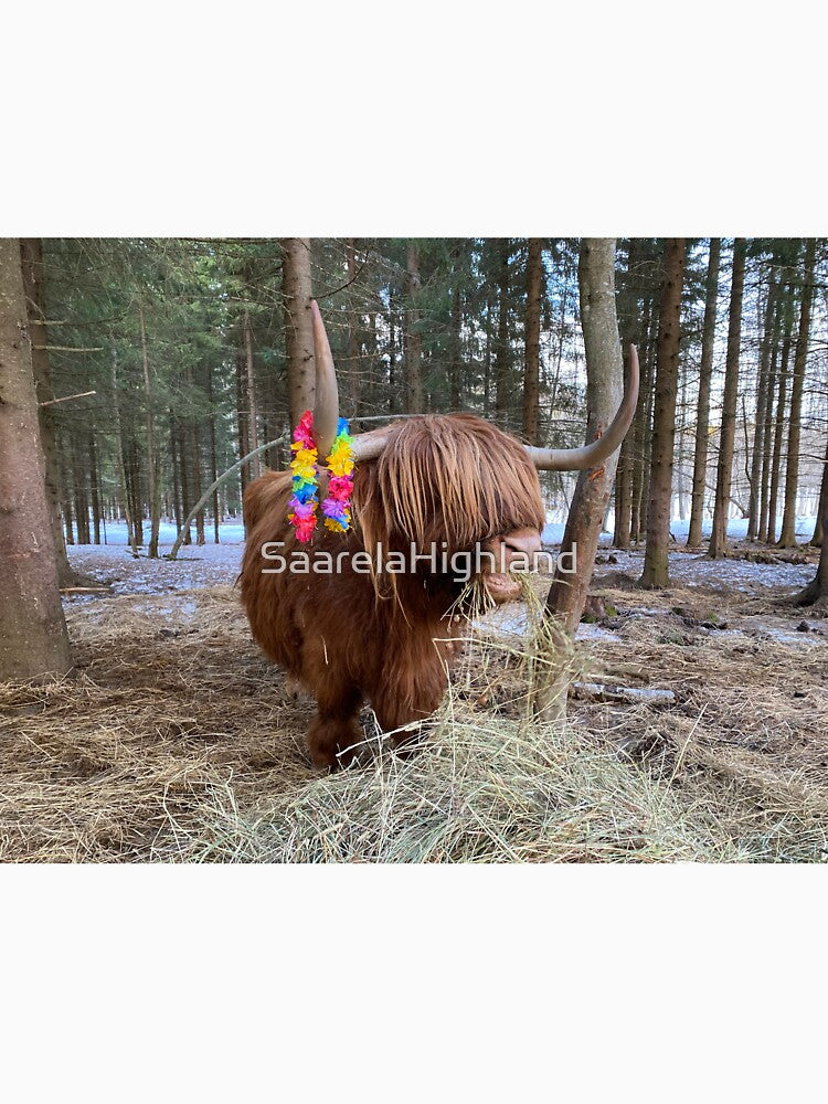 Scottish Highland Cattle Cow 3297 by SaarelaHighland