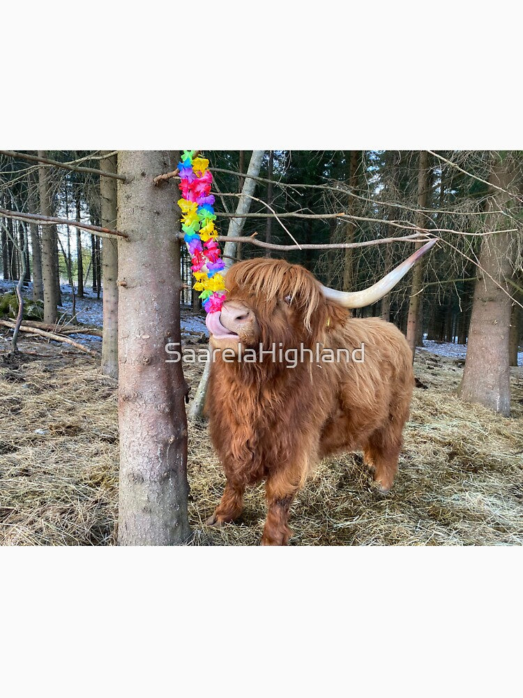 Scottish Highland Cattle Cow 3296 by SaarelaHighland
