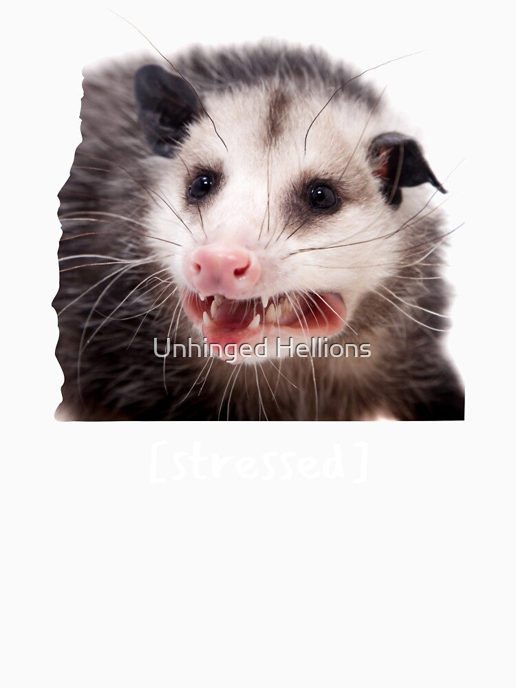 Opossum Stressed Funny Trash Cat Meme by Unhinged Hellions