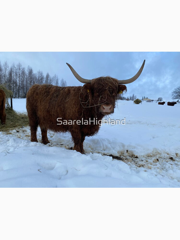 Scottish Highland Cattle Cow 3215 by SaarelaHighland