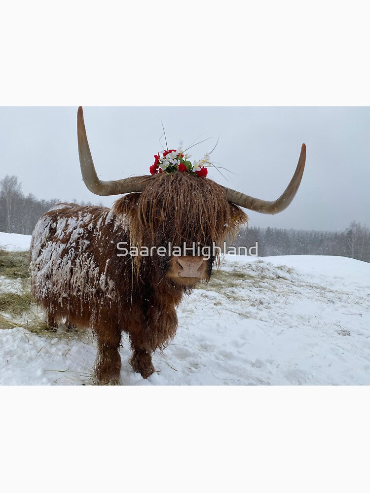 Scottish Highland Cattle Cow 3212 by SaarelaHighland